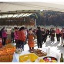 술이홀농장 이미지