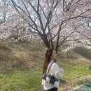 헤어B612