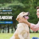 약사랑약국 이미지