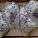 성원농산 이미지