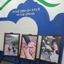 부평 굴포누리 기후변화체험관2층 이미지