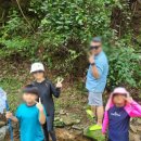 매네미 민박 이미지