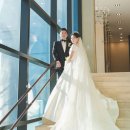 애플주니스튜디오 이미지