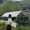 그린팜영농조합법인앞도로 | 강원도 영월 캠핑장 &#39;쉼오지캠프&#39; 리뉴얼 후 2박캠핑 다녀온 후기