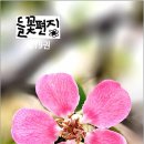 들꽃편지 이미지