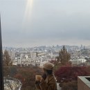 써니델리 | [그랜드 하얏트 서울 델리], 남산뷰 카페, 호텔카페 추천 가성비 좋은 호텔 카페