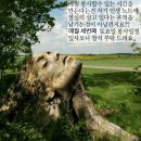 소망세탁 이미지