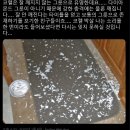 보땅 | [내돈내산] 식세기 사용가능한 그릇, 접시 추천 (오반자이 면기, 찬기)