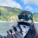 세진민박 이미지