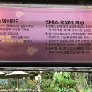 청계대청마루 이미지