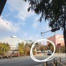 평화의원 | 전북대 카페 전북대 휘낭시에 전주 카공 카페 평화와평화 구내매점