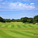 해비치cc | 제주도 노캐디 2인 골프장 추천 요즘 인기좋은 제주 해비치cc 예약 후기