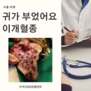 보라매동물병원 이미지