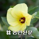 [역사투어] 항일의 섬. 소안도 이미지