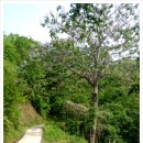 양촌목장 이미지