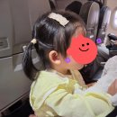 베네09 | [다낭] 23개월 두돌 아기와 베트남 다낭 해외여행_일정 및 준비물정리