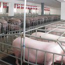 화령농장 이미지