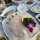 선우시장 | 가락시장 횟집 선우회센터 활어모듬회 추천