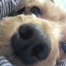 안녕 멈머야 이미지