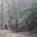 성철목장 이미지