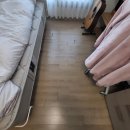 호미마루 이미지