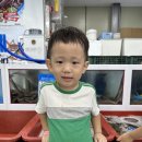 꿈꾸는푸른도서관 이미지