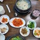 해진정 | [양산 덕계 맛집] 해진정 시원한 까치복 지리 &amp; 봄 제철 도다리 쑥국 후기