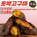 고구마