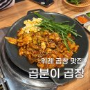 곱분이곱창 | 위례 곱창 맛집 곱분이곱창 야채곱창 후기