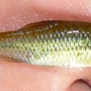 삼화2리 이미지