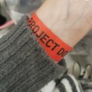 미니돌 을지로점 | 251220 제37회 서울 프로젝트돌 in 동대문 DDP 방문 후기