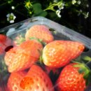 가남정보화마을 이미지