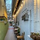 몽땅 포레스트 이미지