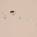 운길산역 이미지