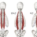 늘필라테스 이미지