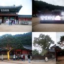 수원화성 행궁(25.10.11) 야간 개장 이미지