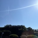 신화스위트 | 제주신화월드 서머셋 패밀리스위트 여름 숙박 후기