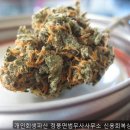 정풍면법무사사무소