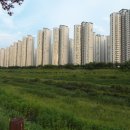 서울아산병원 이미지