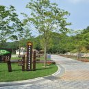 옥화자연휴양림 이미지