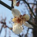 일양교회 이미지