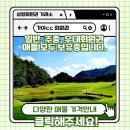 가야 CC 이미지