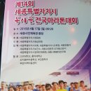 ■■제14회 세종특별자치시 복사꽃 전국 마라톤대회사진 이미지