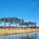 낙동가람 이미지