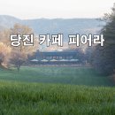 벚꽃카페