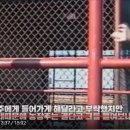 수화농장 이미지