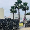 사계 아올 이미지