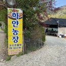 창하농장 이미지