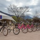 자라섬자전거대여소 이미지