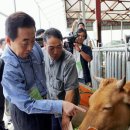 한우사육장 이미지